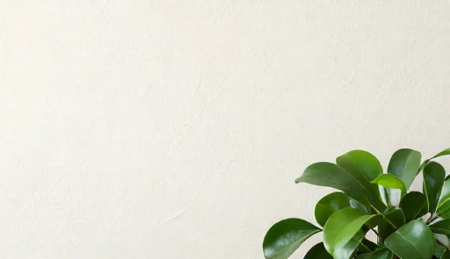 商业保洁套餐适用场景与选择限制解析